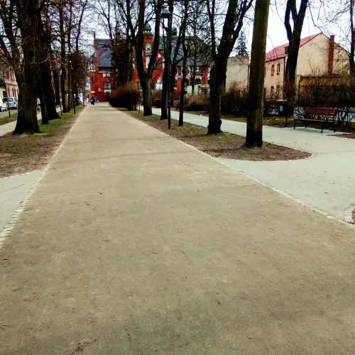 Rewitalizacja Plant Jana Pawła II w Rawiczu (2018-2019) | fot. 3