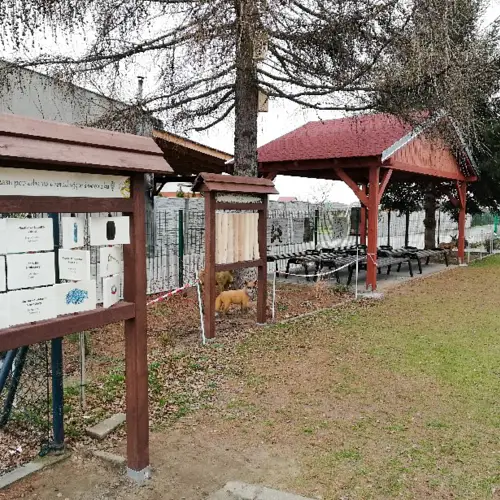 Ekoleśna wiaruchna - Las bliżej nas – obszar edukacyjno-przyrodniczy  w zespole szkolno-przedszkolnym Tęczowa Wiaruchna w masłowie.