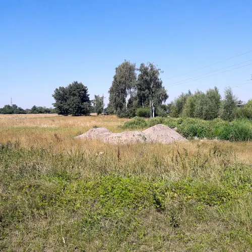 Budowa schroniska dla zwierząt